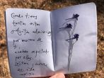 el peso de admirar / the weight of admiring 