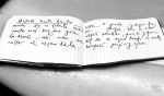 lo que se oculta / what hides