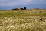 Primavera ibérica / Iberian Spring