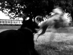 rapidez inusitada / unusual speed